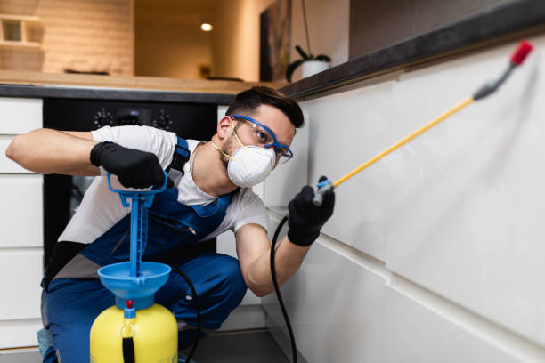 Best Best Pest Control Companies  in Mcchord Af, WA