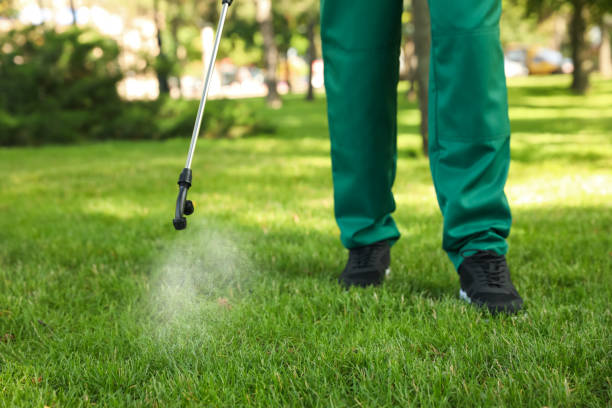Best Emergency Pest Control  in Mcchord Af, WA